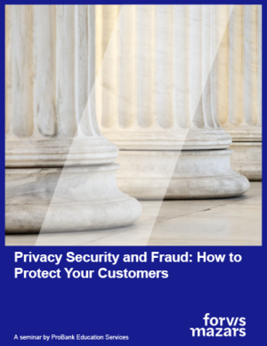Privacy Security and Fraud