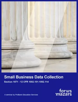 Small Business Data Collection