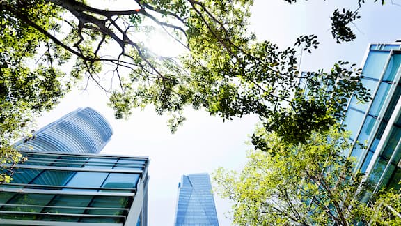 Landscape trees with buildings